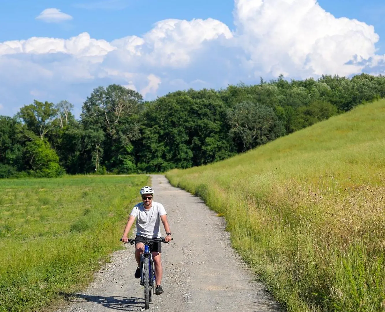 Séjour à la ferme Bioagriturismo Il Cerreto Pomarance