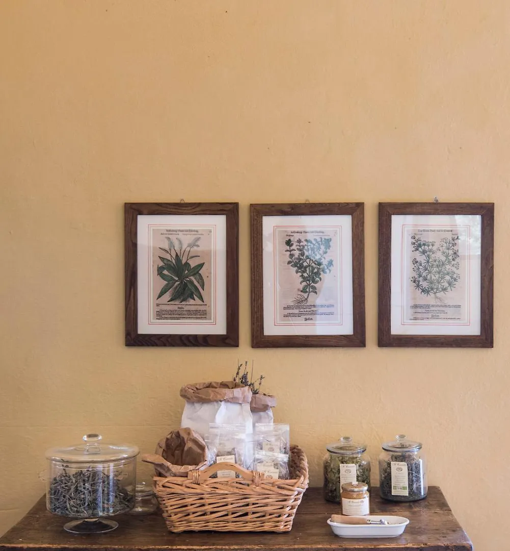 Bioagriturismo Il Cerreto Pomarance 0*,  Italy
